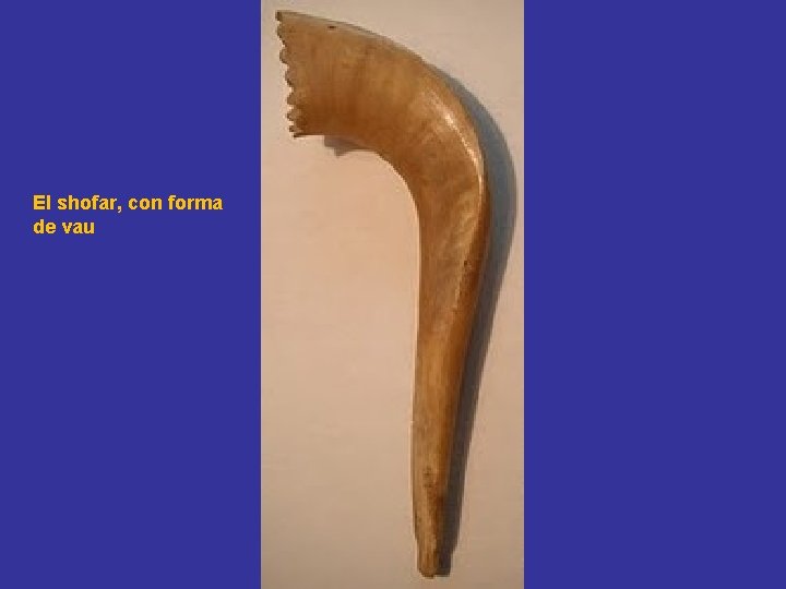 El shofar, con forma de vau 