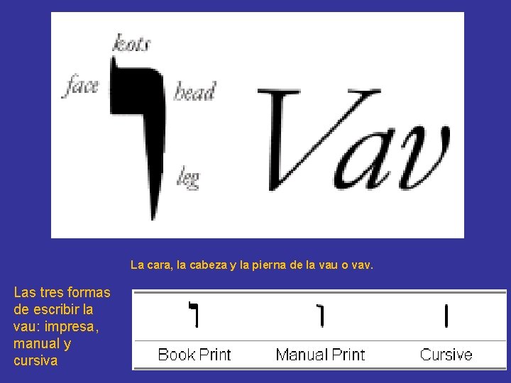 La cara, la cabeza y la pierna de la vau o vav. Las tres