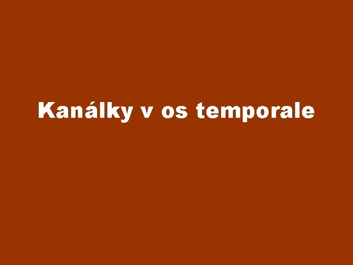 Kanálky v os temporale. 