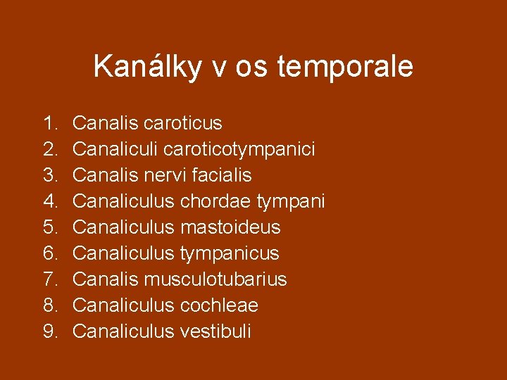 Kanálky v os temporale 1. 2. 3. 4. 5. 6. 7. 8. 9. Canalis