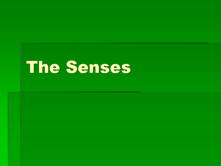 The Senses 