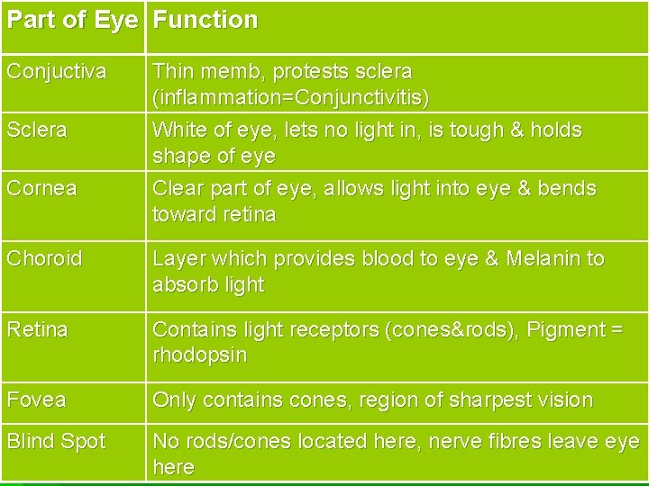 Part of Eye Function Conjuctiva Sclera Cornea Thin memb, protests sclera (inflammation=Conjunctivitis) White of