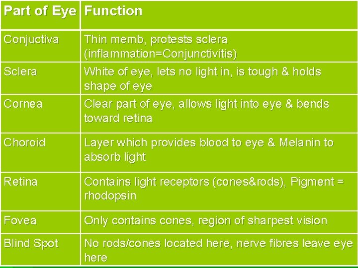 Part of Eye Function Conjuctiva Sclera Cornea Thin memb, protests sclera (inflammation=Conjunctivitis) White of