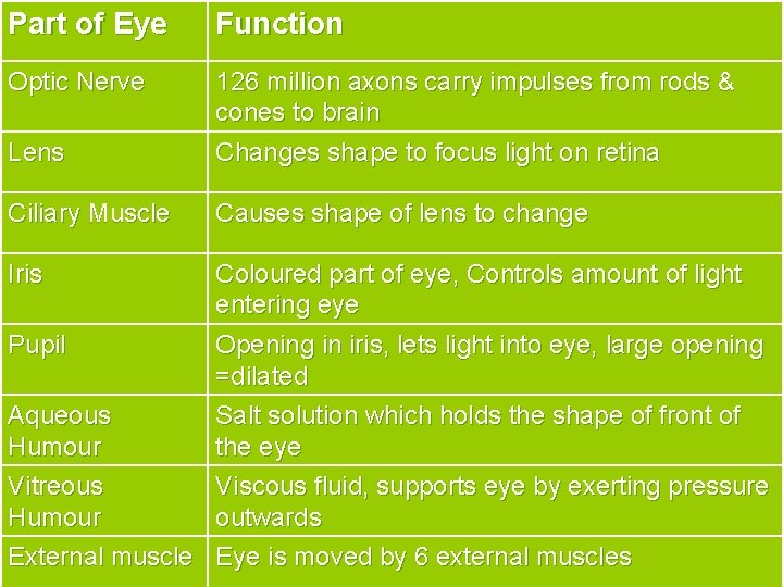 Part of Eye Function Optic Nerve Lens 126 million axons carry impulses from rods