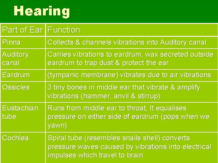 Hearing Part of Ear Function Pinna Collects & channels vibrations into Auditory canal Carries