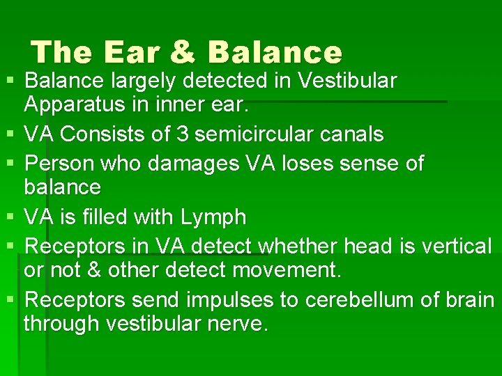 The Ear & Balance § Balance largely detected in Vestibular Apparatus in inner ear.