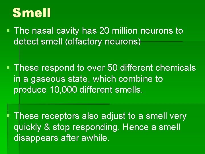 Smell § The nasal cavity has 20 million neurons to detect smell (olfactory neurons)