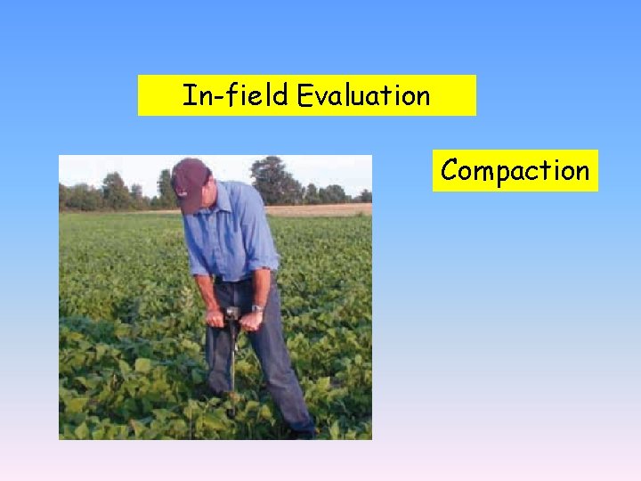 In-field Evaluation Compaction 