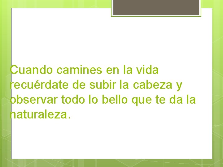 Cuando camines en la vida recuérdate de subir la cabeza y observar todo lo