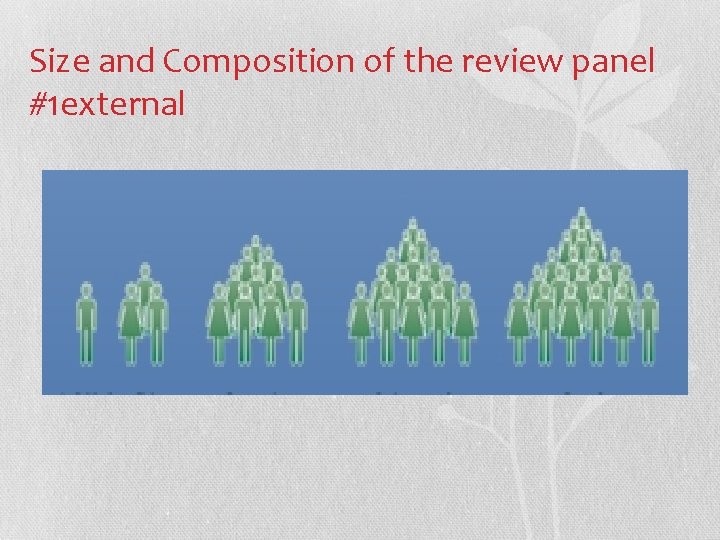 Size and Composition of the review panel #1 external 