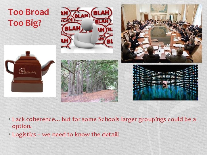 Too Broad Too Big? • Lack coherence. . . but for some Schools larger