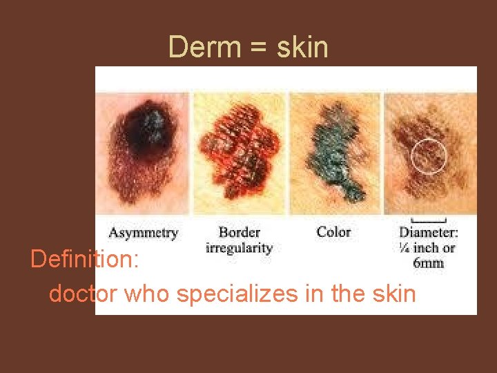 Derm = skin Definition: doctor who specializes in the skin Derm = skin Definition: doctor who specializes in the skin