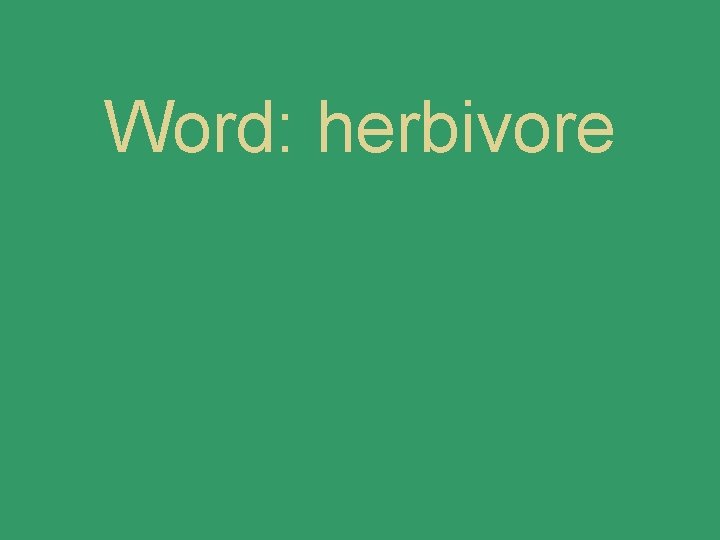 Word: herbivore 
