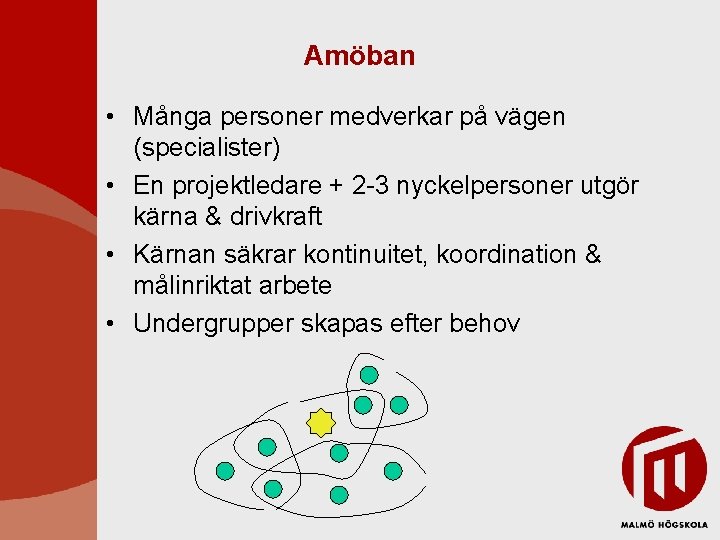Amöban • Många personer medverkar på vägen (specialister) • En projektledare + 2 -3 Amöban • Många personer medverkar på vägen (specialister) • En projektledare + 2 -3