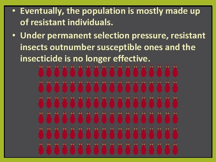  • Eventually, the population is mostly made up of resistant individuals. • Under