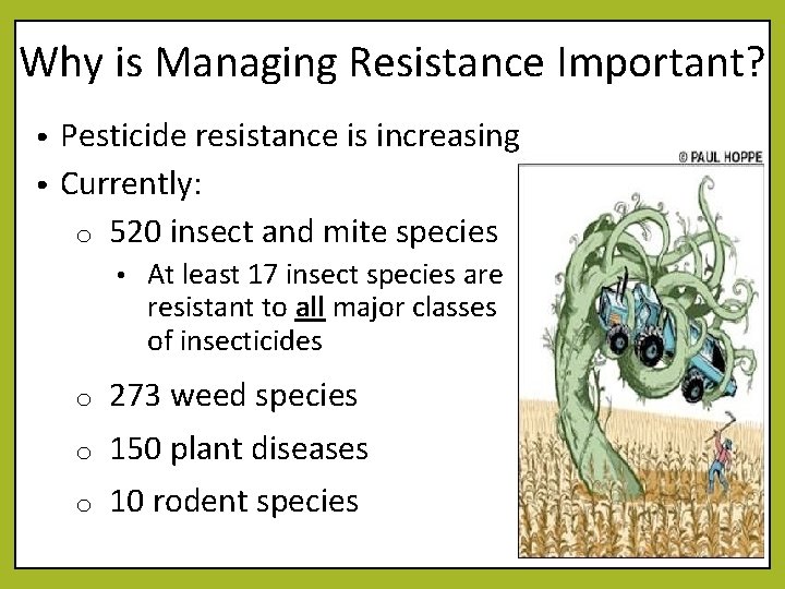 Why is Managing Resistance Important? Pesticide resistance is increasing • Currently: o 520 insect