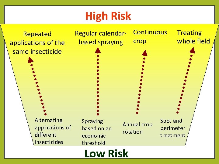 High Risk Repeated applications of the same insecticide Alternating applications of different insecticides Regular