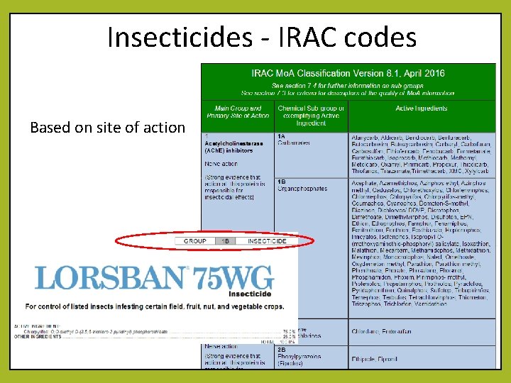 Insecticides - IRAC codes Based on site of action 