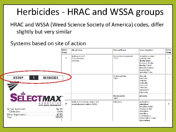 Herbicides - HRAC and WSSA groups HRAC and WSSA (Weed Science Society of America)