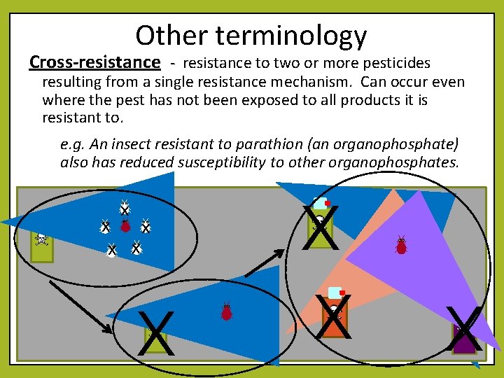 Other terminology Cross-resistance - resistance to two or more pesticides resulting from a single