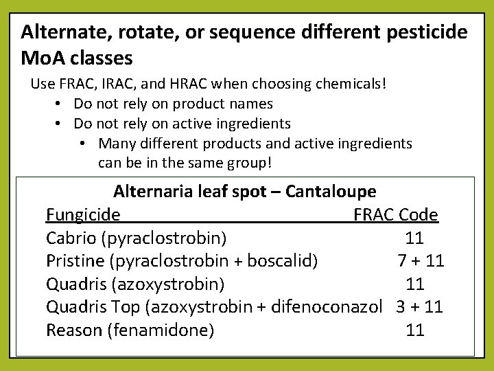 Alternate, rotate, or sequence different pesticide Mo. A classes Use FRAC, IRAC, and HRAC