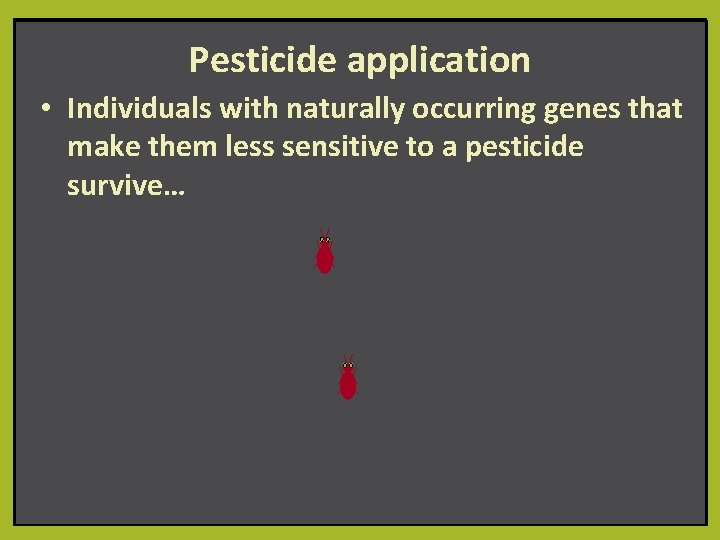 Pesticide application • Individuals with naturally occurring genes that make them less sensitive to