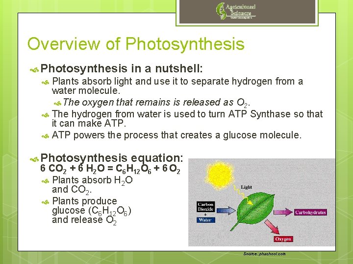 Overview of Photosynthesis in a nutshell: Plants absorb light and use it to separate