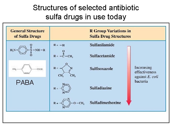 Structures of selected antibiotic sulfa drugs in use today PABA 