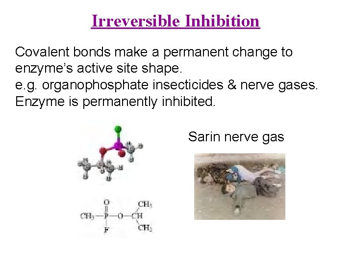 Irreversible Inhibition Covalent bonds make a permanent change to enzyme’s active site shape. e.