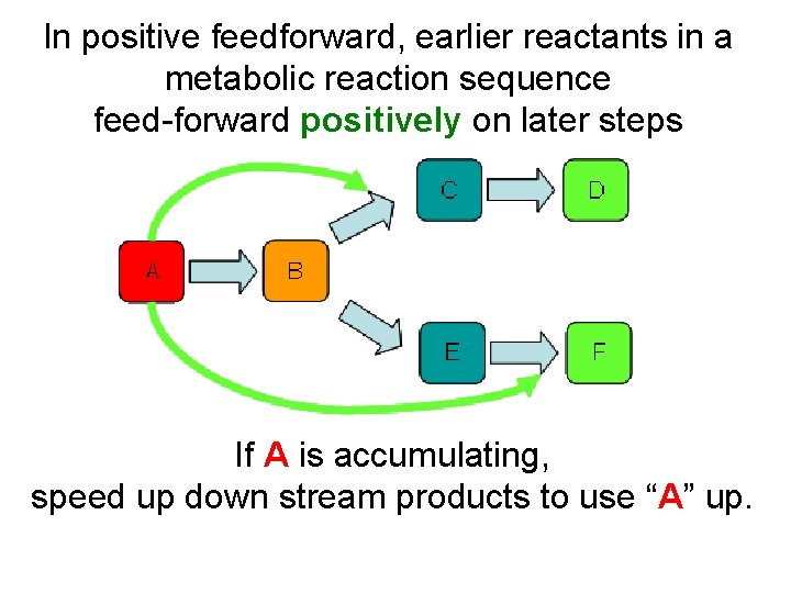 In positive feedforward, earlier reactants in a metabolic reaction sequence feed-forward positively on later