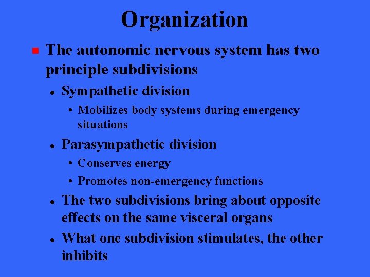 Organization n The autonomic nervous system has two principle subdivisions l Sympathetic division •