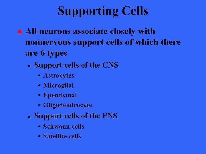 Supporting Cells n All neurons associate closely with nonnervous support cells of which there