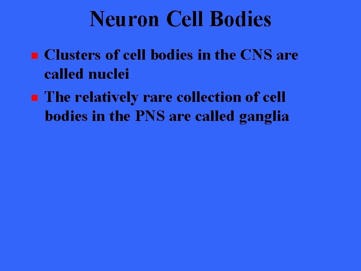 Neuron Cell Bodies n n Clusters of cell bodies in the CNS are called