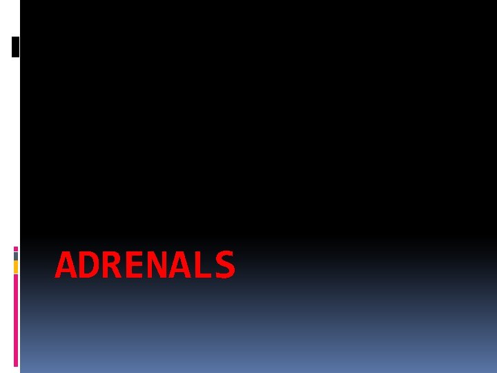 ADRENALS 