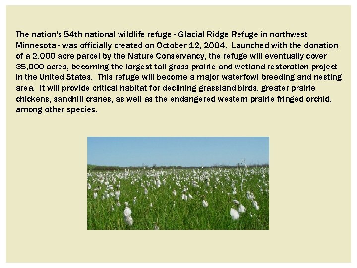 The nation's 54 th national wildlife refuge - Glacial Ridge Refuge in northwest Minnesota The nation's 54 th national wildlife refuge - Glacial Ridge Refuge in northwest Minnesota
