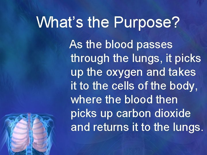 What’s the Purpose? As the blood passes through the lungs, it picks up the