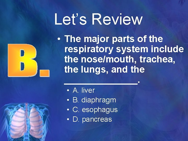 Let’s Review • The major parts of the respiratory system include the nose/mouth, trachea,