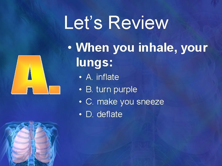 Let’s Review • When you inhale, your lungs: • • A. inflate B. turn