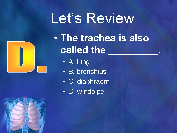 Let’s Review • The trachea is also called the _____. • • A. lung