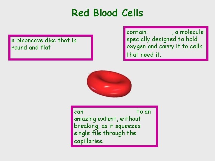 Red Blood Cells a biconcave disc that is round and flat contain , a