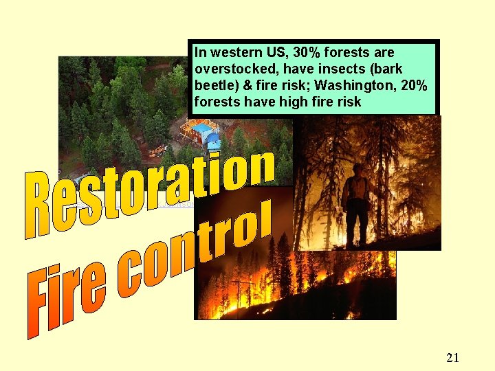 In western US, 30% forests are overstocked, have insects (bark beetle) & fire risk;