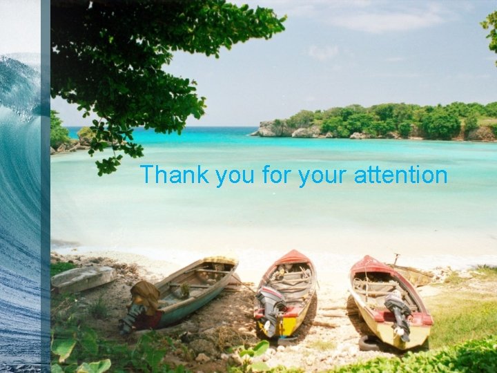 Thank you for your attention 