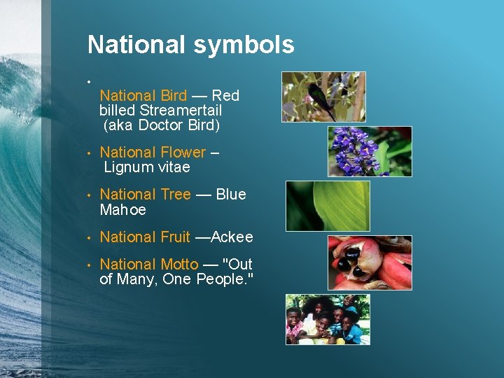 National symbols • National Bird — Red billed Streamertail (aka Doctor Bird) • National