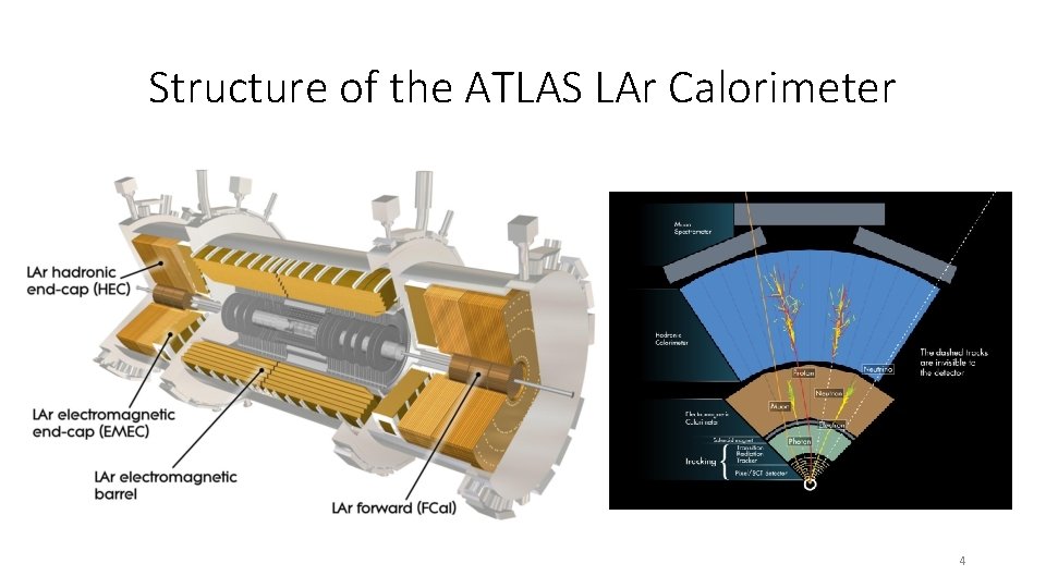 Structure of the ATLAS LAr Calorimeter 4 