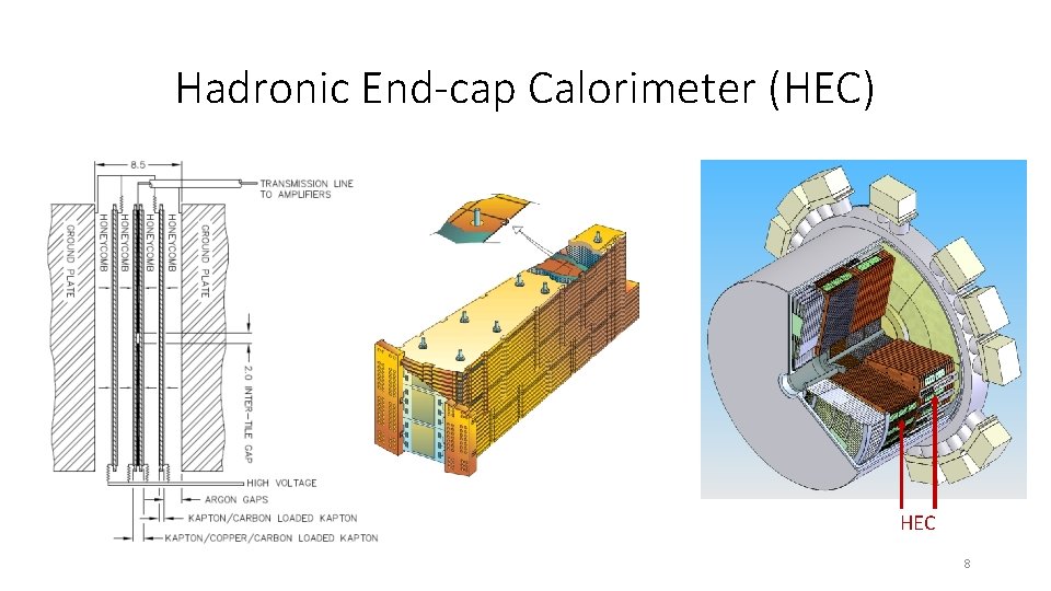 Hadronic End-cap Calorimeter (HEC) HEC 8 