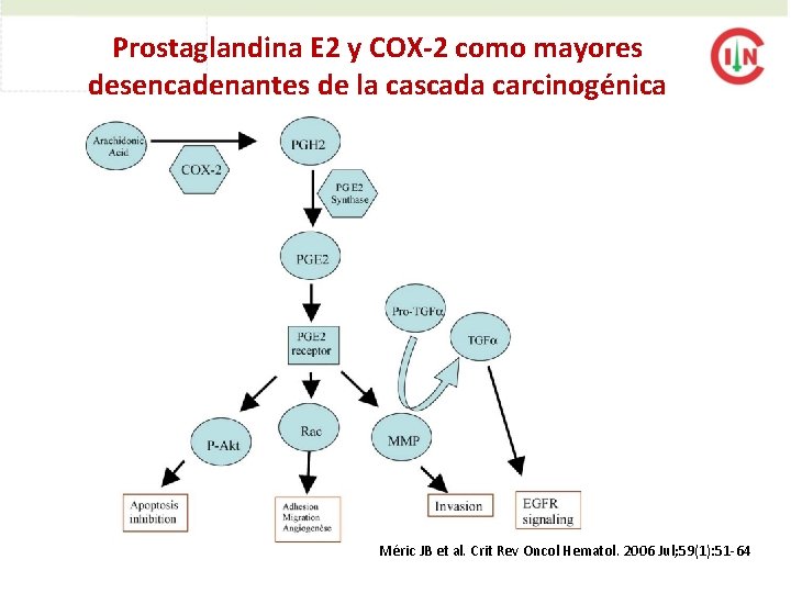 Prostaglandina E 2 y COX-2 como mayores desencadenantes de la cascada carcinogénica Méric JB