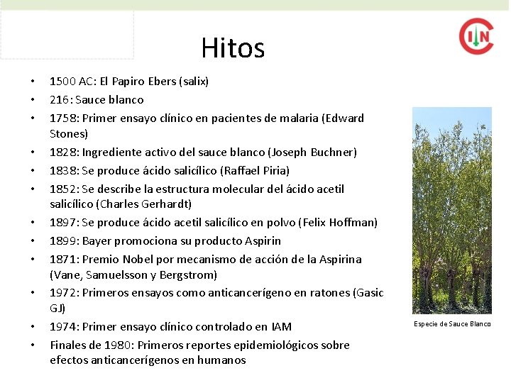 Hitos • • • 1500 AC: El Papiro Ebers (salix) 216: Sauce blanco 1758: