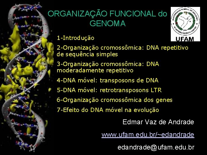 ORGANIZAÇÃO FUNCIONAL do GENOMA 1 -Introdução 2 -Organização cromossômica: DNA repetitivo de sequência simples