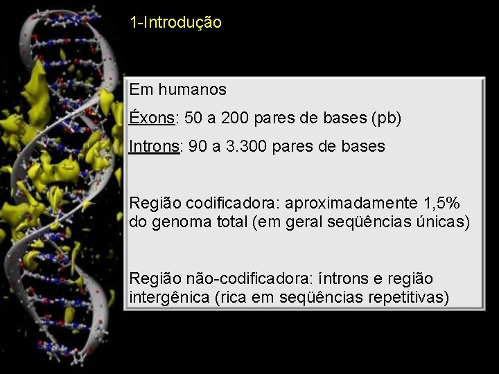 1 -Introdução Em humanos Éxons: 50 a 200 pares de bases (pb) Introns: 90