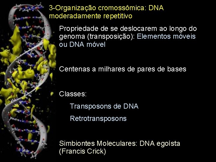 3 -Organização cromossômica: DNA moderadamente repetitivo Propriedade de se deslocarem ao longo do genoma